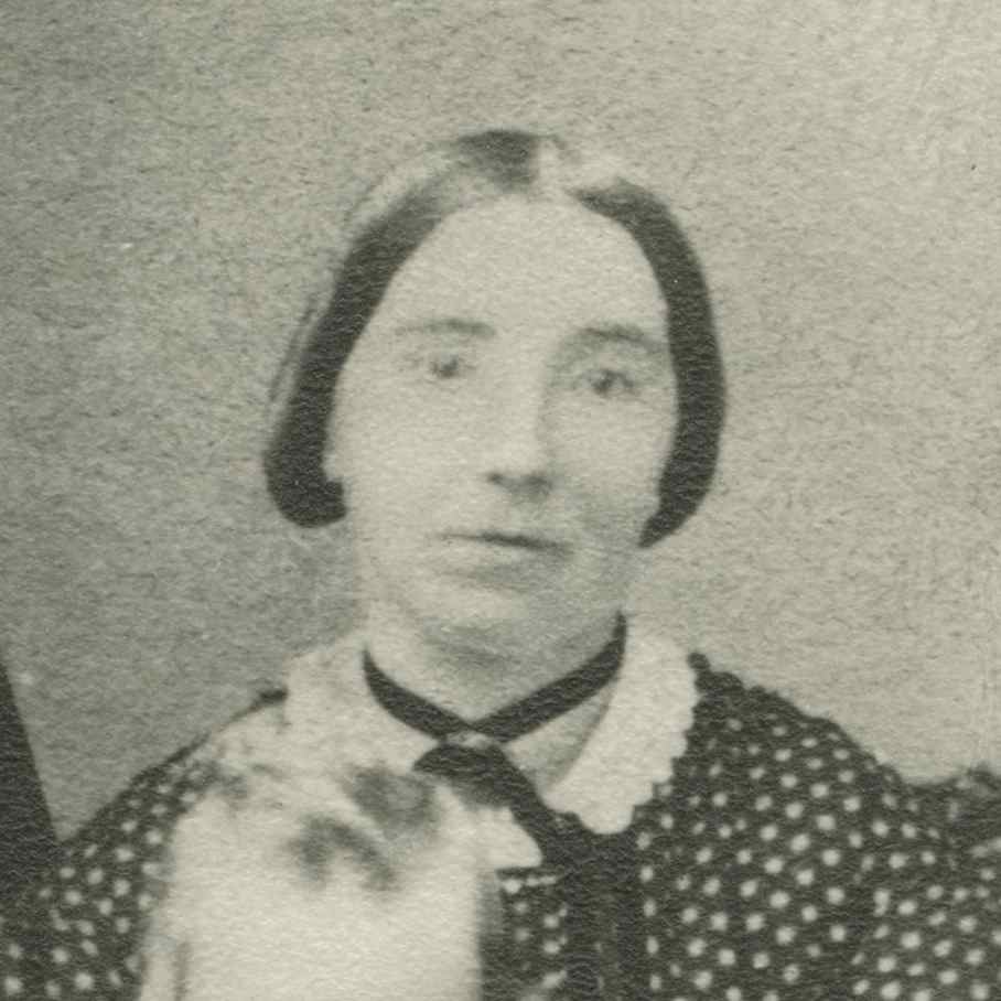 Mary Sharp (1831 - 1912) Profile